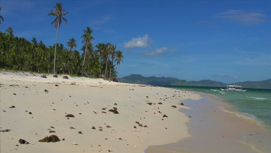 Virtual Walks - Tropical Beaches with Sea Sounds, Philippines