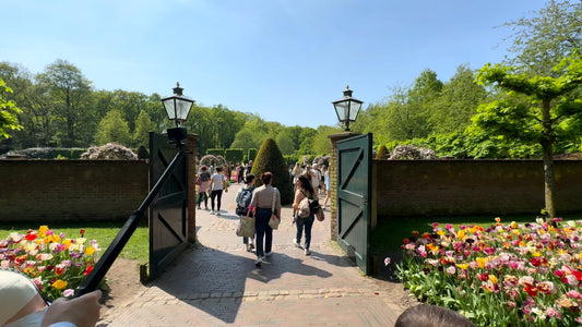Virtual Walks - World's Largest Tulip Garden - Keukenhof - The Netherlands