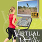 Virtual Scenery Walks - Pine Forest in Strong Wind - With HD Nature Sounds