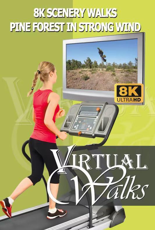 Virtual Scenery Walks - Pine Forest in Strong Wind - With HD Nature Sounds