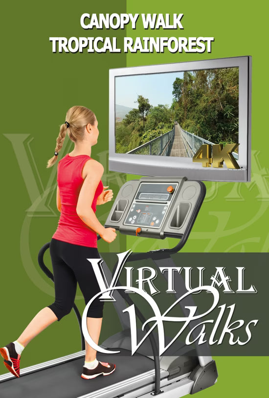 Virtual Walk - Canopy Walk Tropical Rainforest - Thailand