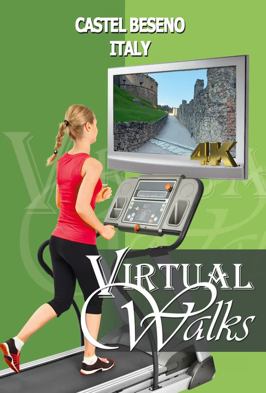 Virtual Walk - Castel Beseno - Italy