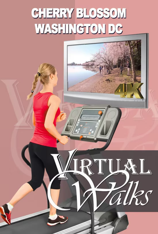 Virtual Walk - Cherry Blossom - Washington, D.C. - USA