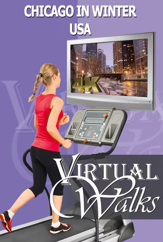 Virtual Walk - Chicago in Winter - USA