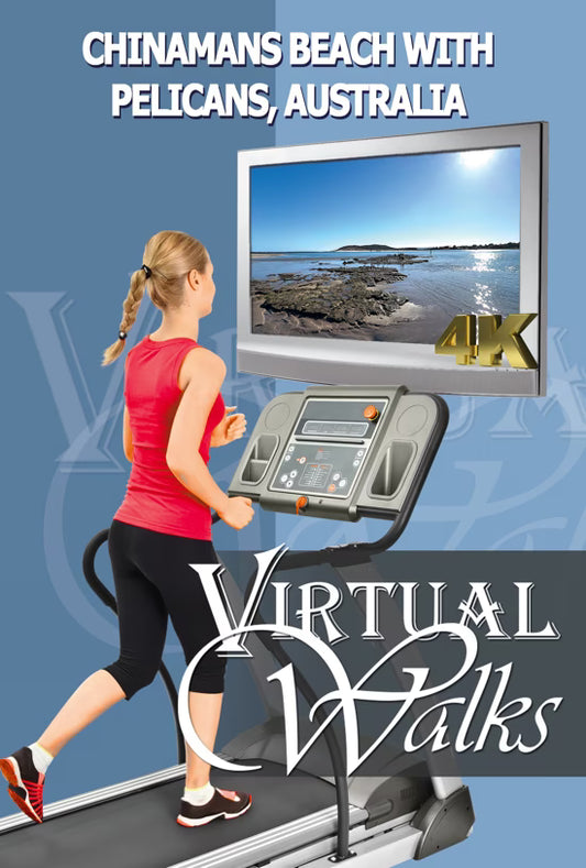 Virtual Walk - Chinamans Beach with Pelicans - Australia