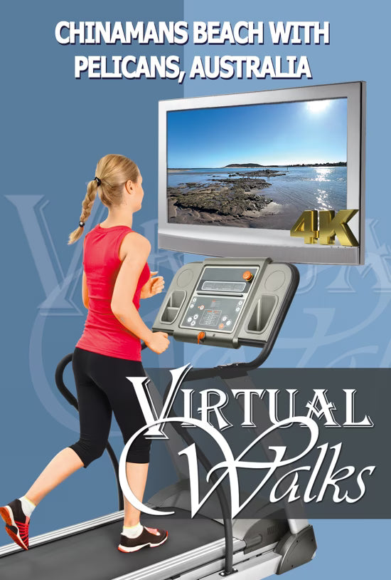Virtual Walk - Chinamans Beach with Pelicans - Australia