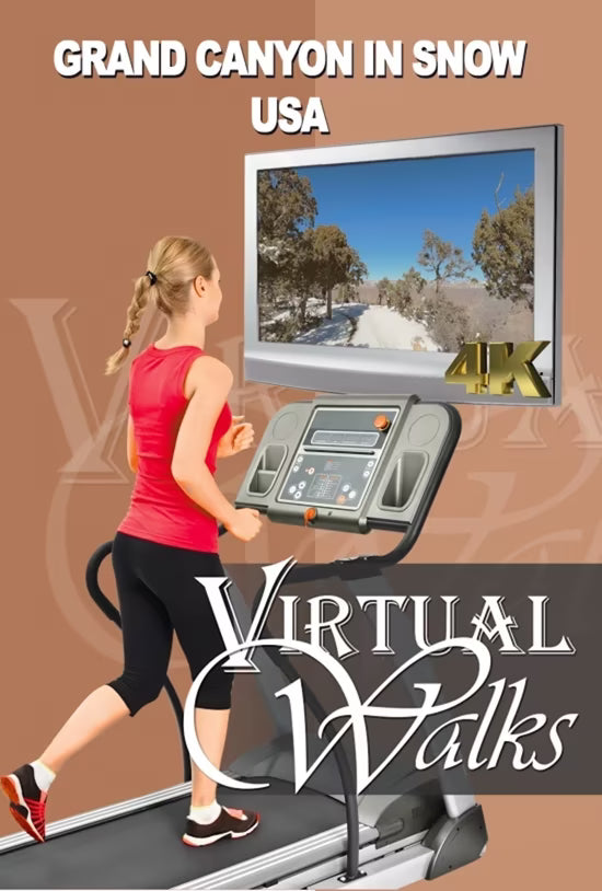 Virtual Walk - Grand Canyon in Snow - USA