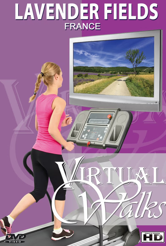 Virtual Walks - Lavender Fields - France
