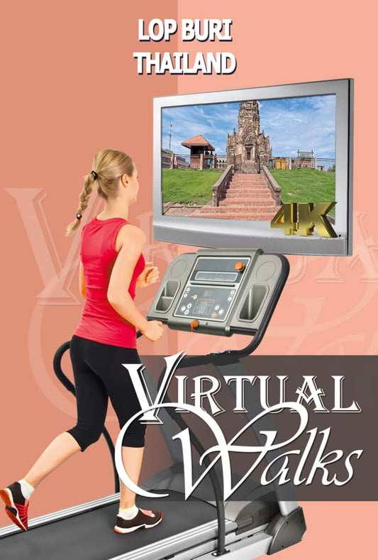 Virtual Walk - City of Monkeys - Lop Buri - Thailand