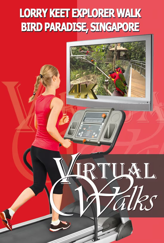 Virtual Walk - Lorry Keet Explorer Walk - Bird Paradise - Singapore
