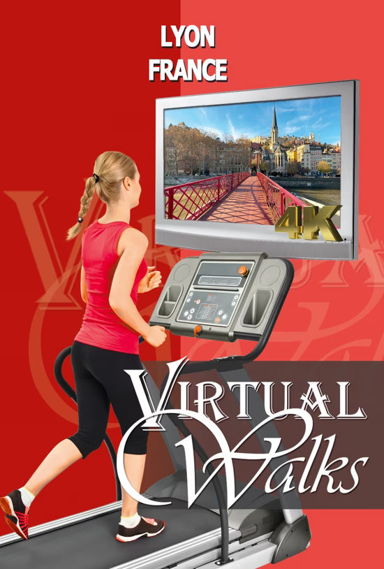 Virtual Walk - Lyon - France