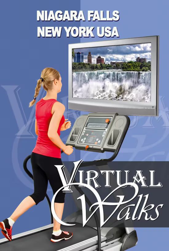 Virtual Walk - Niagara Falls - New York - USA