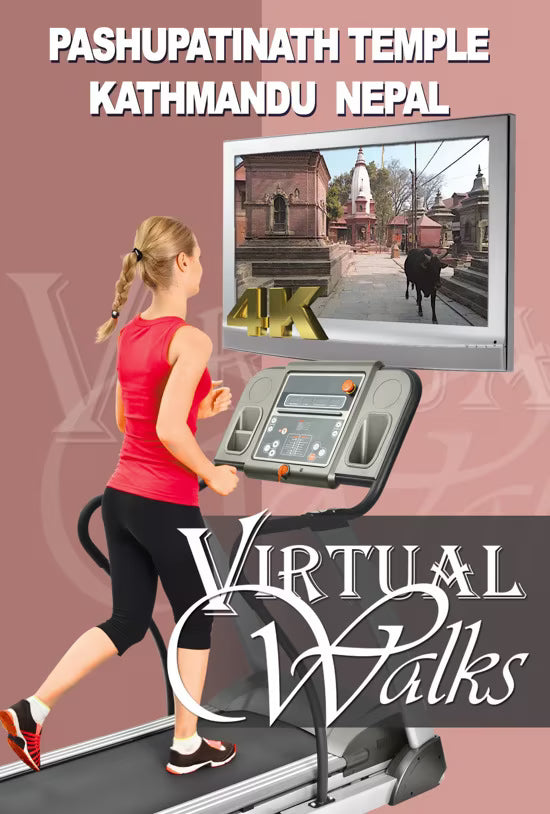Virtual Walk - Pashupatinath Temple - Kathmandu - Nepal