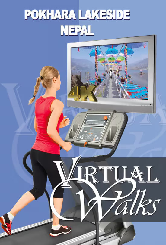 Virtual Walk - Pokhara Lakeside Nepal