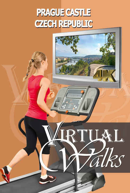 Virtual Walk - Prague Castle - Czech Republic