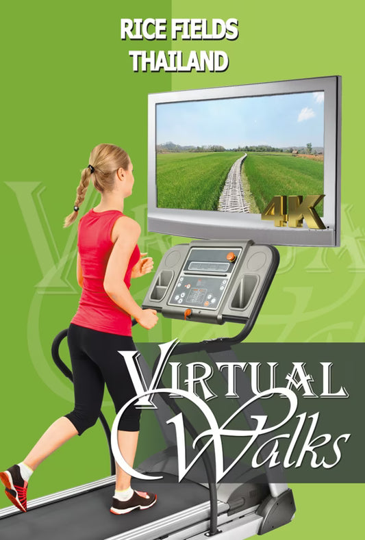 Virtual Walk - Rice Fields - Thailand