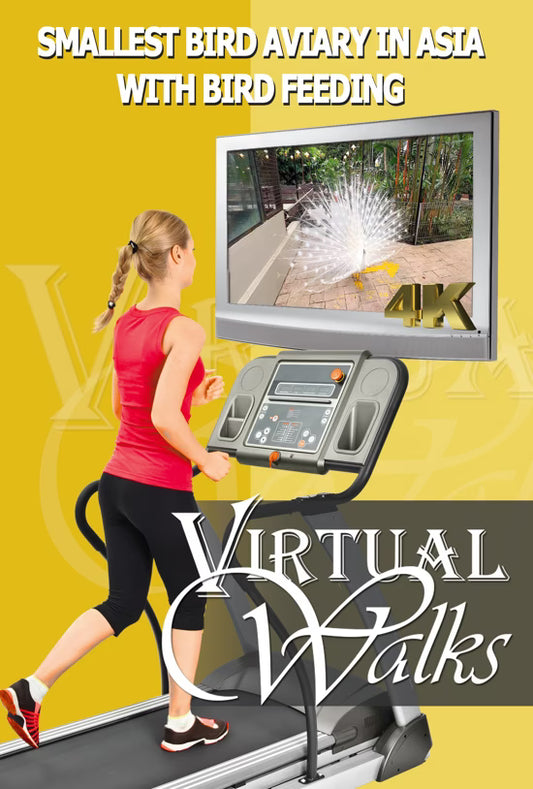 Virtual Zoo Walk - Smallest most colourful Bird Aviary in Asia + Bird Feeding