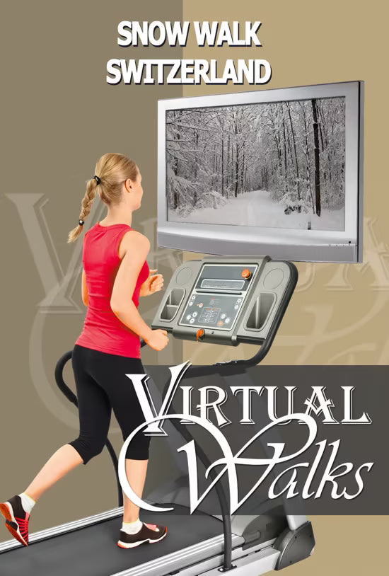 Virtual Snow Walks in Switzerland and Alpine Mountain Pass with Falling Snow