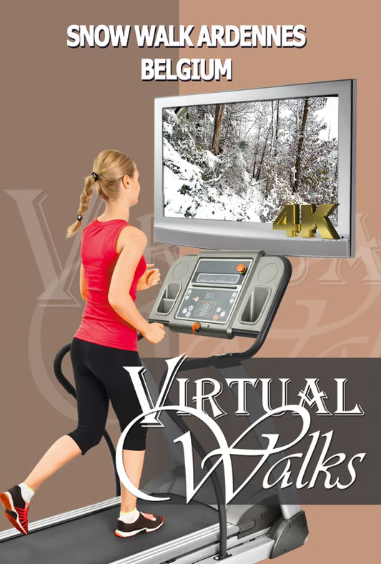 Virtual Walk - Snow Walk - Ardennes Belgium