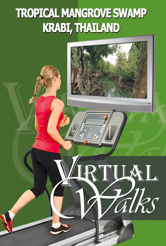 Virtual Walk - Tropical Mangrove Swamp Walk - Krabi - Thailand