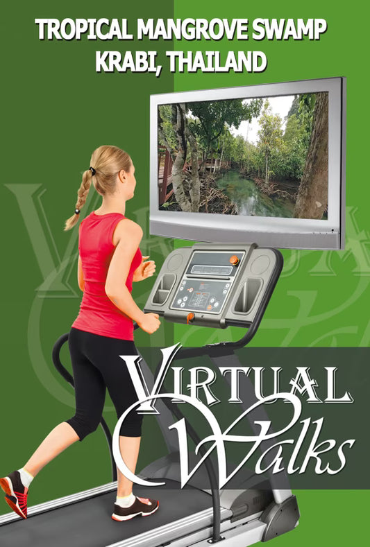 Virtual Walk - Tropical Mangrove Swamp Walk - Krabi - Thailand
