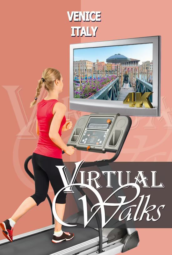 Virtual Walk - Venice - Italy