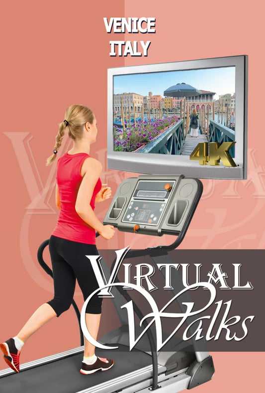 Virtual Walk - Venice - Italy