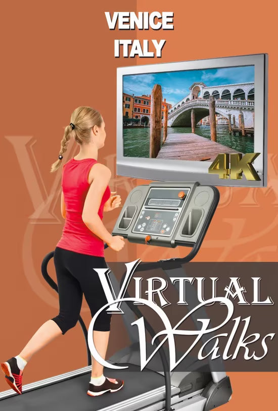 Virtual Walk - Venice - Italy