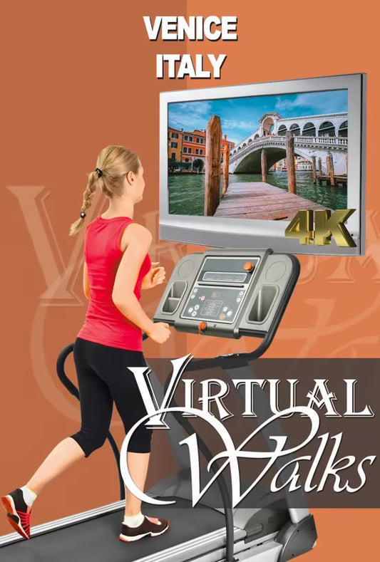 Virtual Walk - Venice - Italy