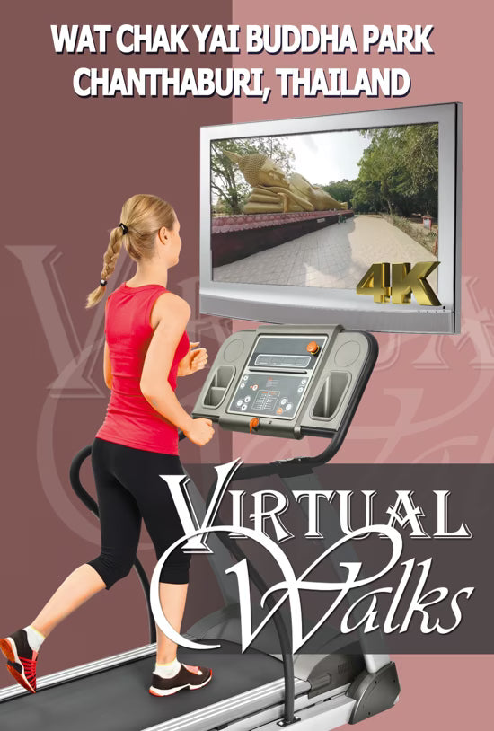 Virtual Walk - Wat Chak Yai Buddha Park - Thailand