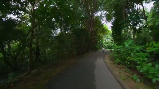 Virtual Walks – Singapore Botanical Gardens & Parks