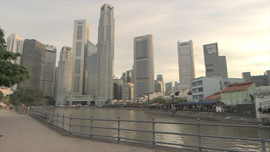 Virtual Walk Singapore Heritage – Little India, Chinatown, Kampong Glam & Downtown