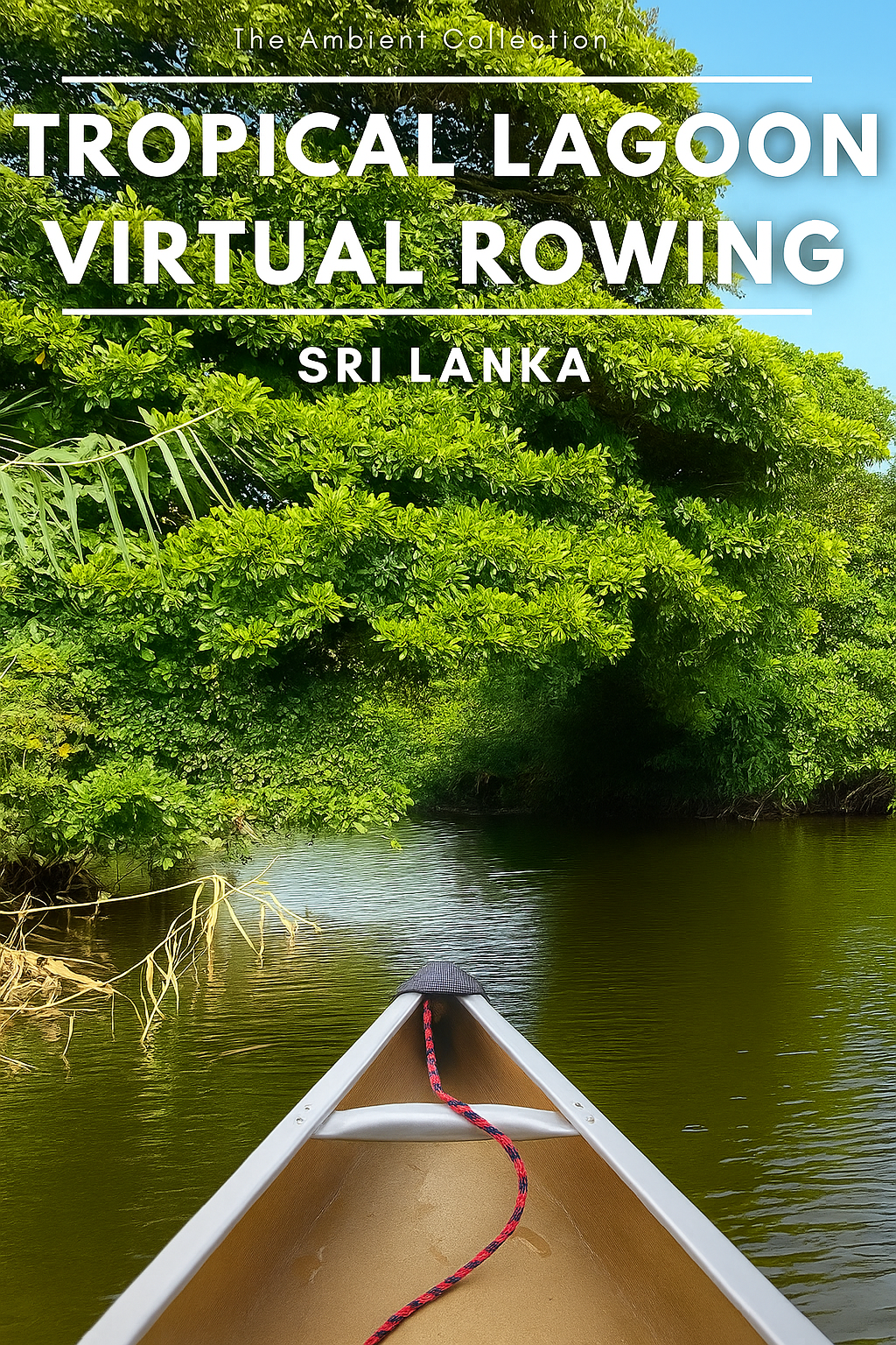 Virtual Rowing - Tropical Lagoon - Sri Lanka – World Nature Video
