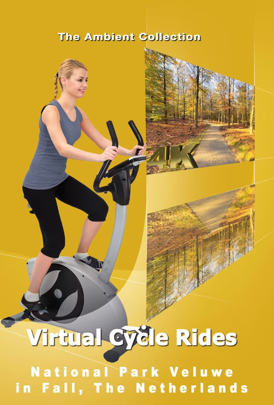 Virtual Cycle - National Park Veluwe in Fall - The Netherlands