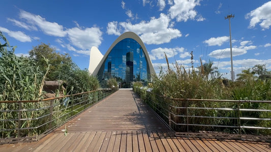 Virtual Walk - Europe’s largest Aquarium Valencia’s Oceanogràfic
