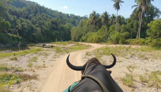 Virtual Ride – Ox Cart Ride in Mindoro, Philippines