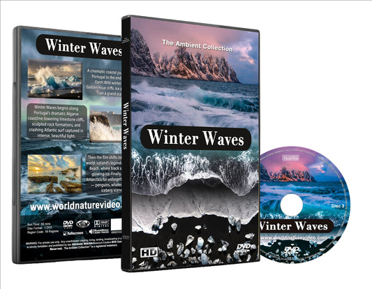 Winter Waves - Natural Sounds or Music