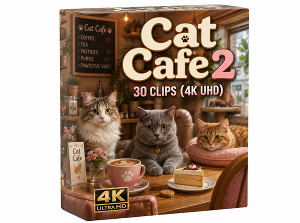 Creator Pack - 30 single clips of Cat Cafe And Bar 2 (4K UHD)