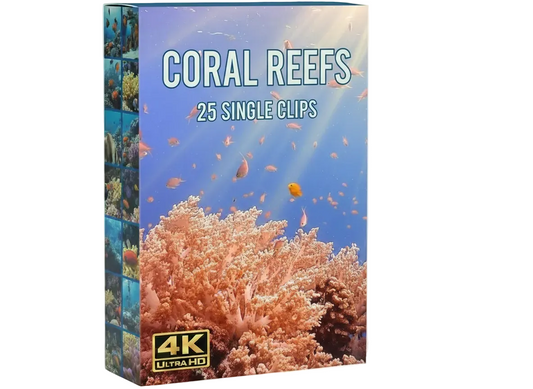 Coral Reefs underwater commercial clips