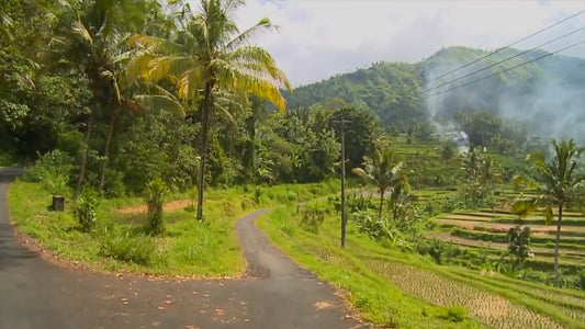 Fitness Journeys - Balinese Rice Fields