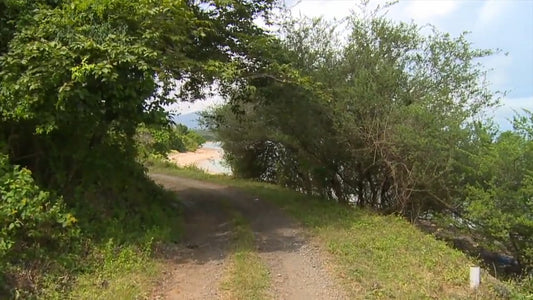 Fitness Journeys - Tropical Scenery 2, for Indoor Walking, Treadmill, and Cycling Workouts