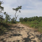 Virtual Cycle Rides - Dunes, Forest & Mountains