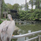 Nature Walk in World Largest Bird Aviary - Walk with the Tropical Birds