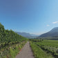 Virtual Cycle - Strada del Vino - South Tyrol - Italy