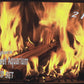 Fireplace - Aquarium