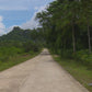 Fitness Journeys - Tropical Scenery 1