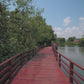 Virtual Run - Mangrove Boardwalks (Largest of Mangrove Boardwalks in Asia)