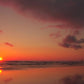 Ocean Tranquility