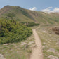 Virtual Run - Colorado Mountain Run - Stanley Peak - USA