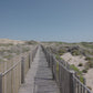 Nature Walk - Atlantic Dunes